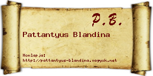 Pattantyus Blandina névjegykártya